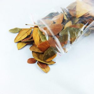 Listki ozdoba do terrarium