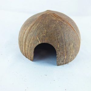 Połowki kokosa-kryjówka