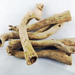 Natural root 12-14cm