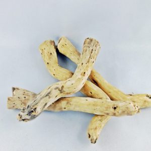 Korzonki naturalne 1szt