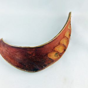 Łupiny Ucho Słonia