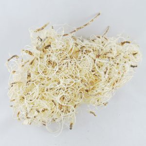 Korzonki naturalne drobne białe