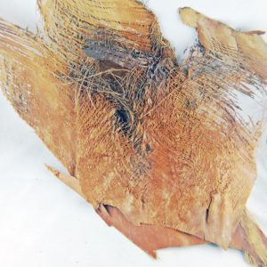 Nasada Liścia palmowego naturalny