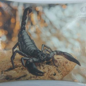 Mouse pad with a photo of the pattern 3