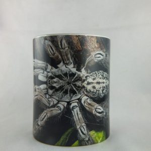 Mug 330ml with a photo pattern 9