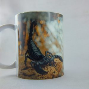 Mug 330ml with a photo pattern 11