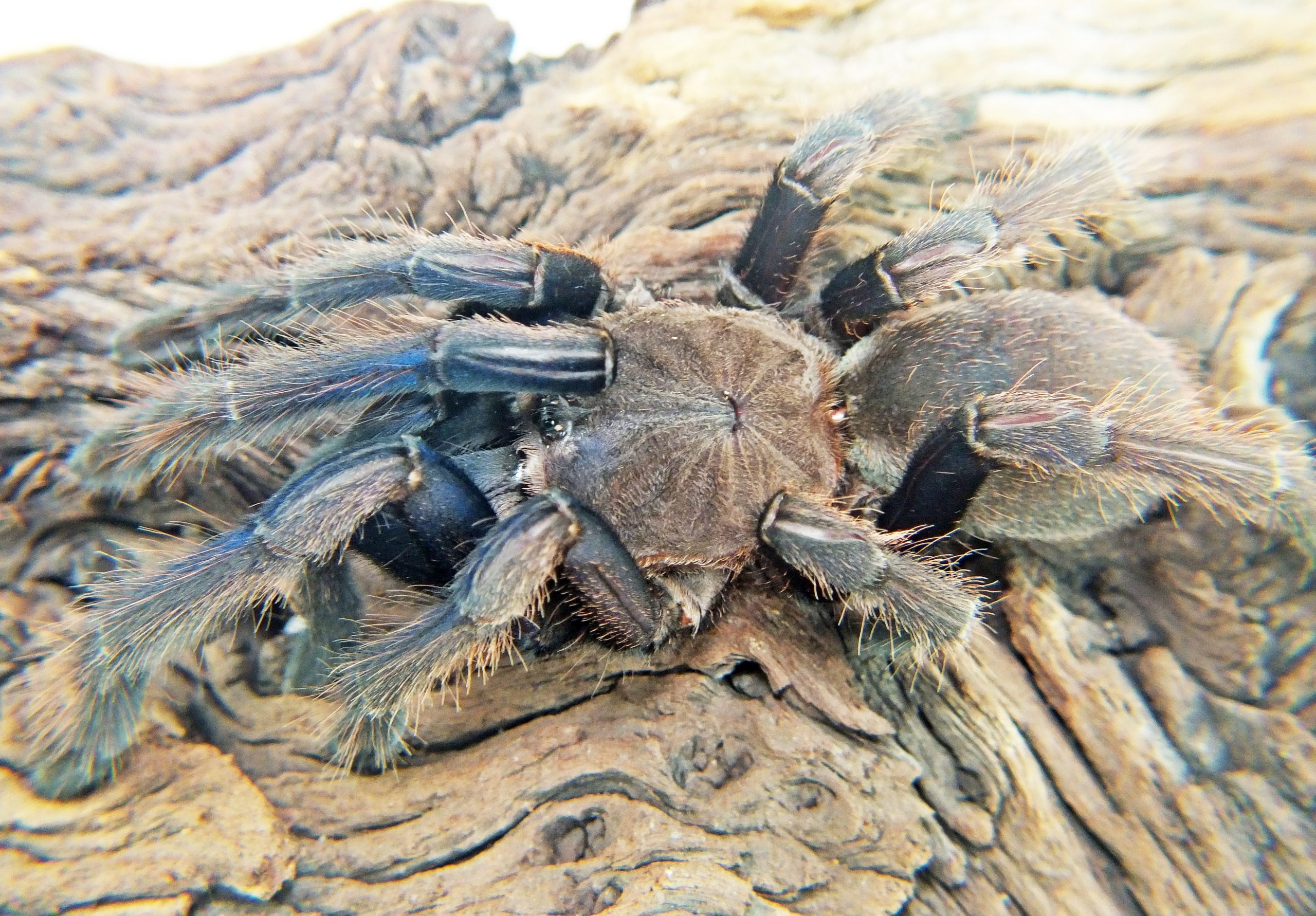 DSCF7121