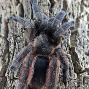 953913981407fd1380e08e01ed0a8bf0a5d553b6052d0bbf028f47c00fe544a61a4d8174612aba62376c8d9468189c1e5e6447f28f29d91a2d328af9bd12eea2b6016a0284ab3f4fb30d3fc83a43b79e